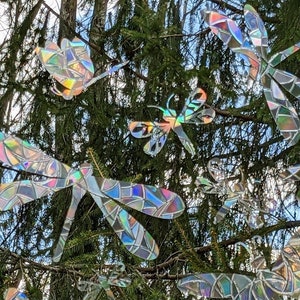 May include: A collection of iridescent dragonfly-shaped ornaments hanging from the branches of a tree. The ornaments are made of glass and have a mosaic-like pattern.