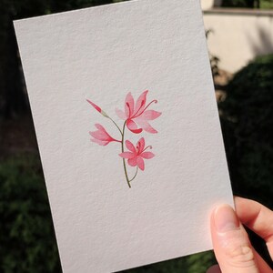 Carte postale Fine Art - Lys des Cafres (A6)