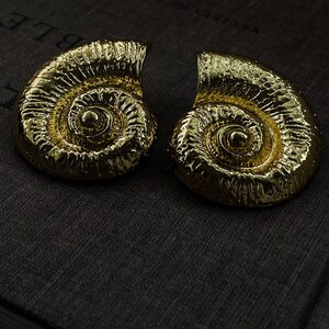 Nautilus Earrings main image 1