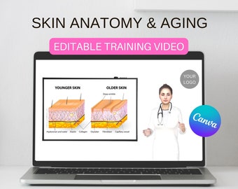 Trainingshandleiding Anatomie en veroudering van de huid | Cursus bewerkbaar canva