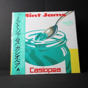 Casiopea Vinyl - Etsy