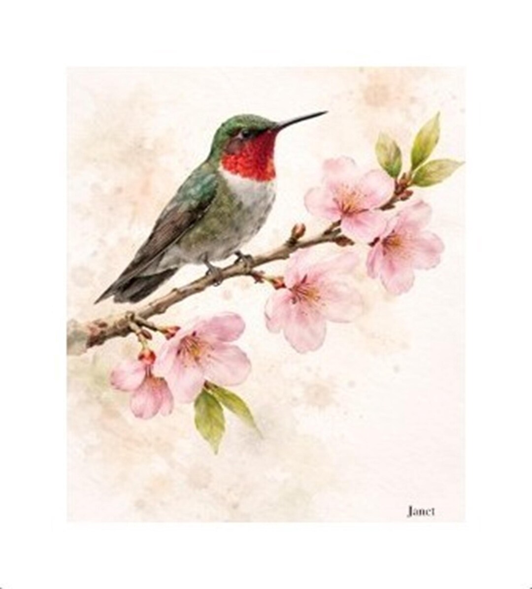 Delicate Ruby-throated Hummingbird Wall Art, Calming Bird Decor, Soft ...