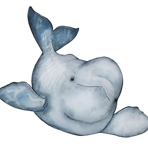 Beluga Whale Species Portrait - Giclée Art Print