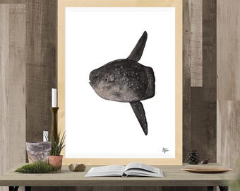 Ritratto della specie Ocean Sunfish (Mola Mola) - Stampa d'arte Giclée
