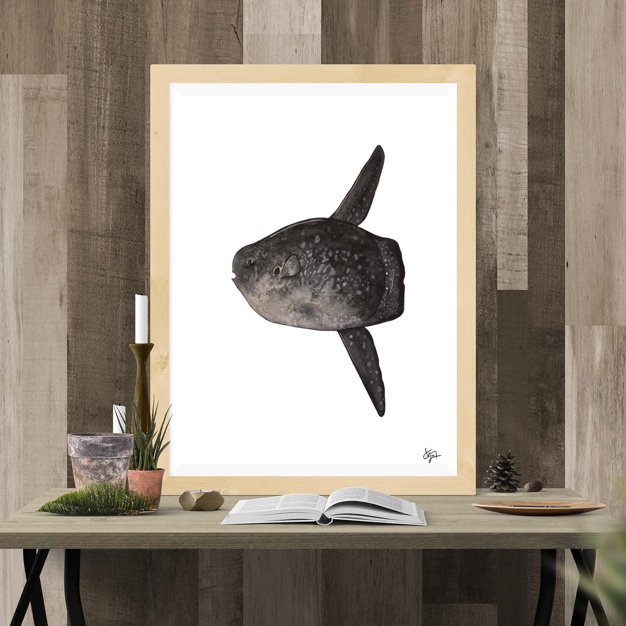 Ocean Sunfish (mola Mola) Species Portrait - Giclée Art Print - Etsy