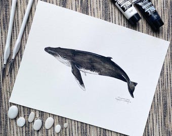 Humpback Whale Species Portrait - Giclée Art Print