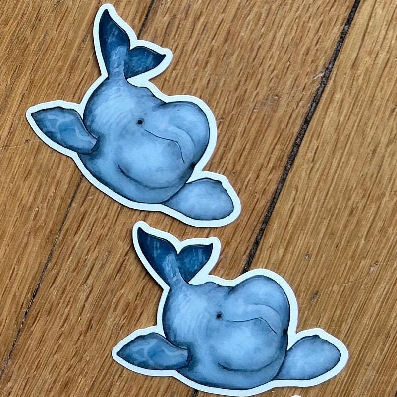 Beluga Whale Sticker - Etsy