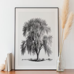 Vintage Weeping Willow Tree Art | PRINTABLE | Vintage Wall Art | Home Decor | Digital Art | Botanical | Living Room | Downloadable
