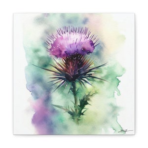 Watercolor Blooming Thistle art print on gallery wrapped canvas of an original artwork by Laura Johnson