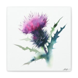 Watercolor Thistle Flower art print on gallery wrapped canvas of an original artwork by Laura Johnson