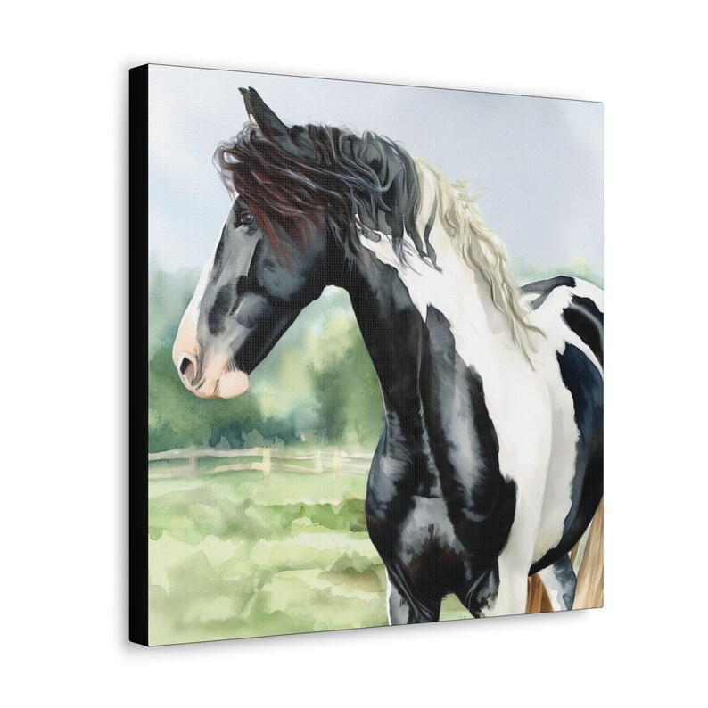 Black and White Paint Horse Art Print on Gallery Wrapped Canvas of an