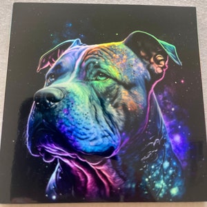Puede incluir: Una pintura abstracta colorida de la cabeza de un perro sobre un fondo oscuro. El pelaje del perro está pintado en tonos de azul, morado, verde y naranja, y el fondo es una galaxia de estrellas en espiral.