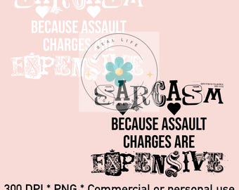 Sarkasmus wegen Körperverletzung Gebühren sind teuer | Snarky Design Png, sarkastisch, lustig, Sublimationsdruck, DTF, DTG Druck