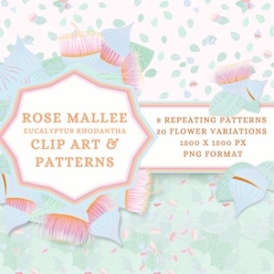 Puede incluir: Ilustraciones digitales y patrones con flores de Rose Mallee. El diseño incluye 8 patrones repetidos y 20 variaciones de flores. La imagen tiene una paleta de colores suaves de rosa, azul y verde, con el texto "Rose Mallee Clip Art & Patterns".