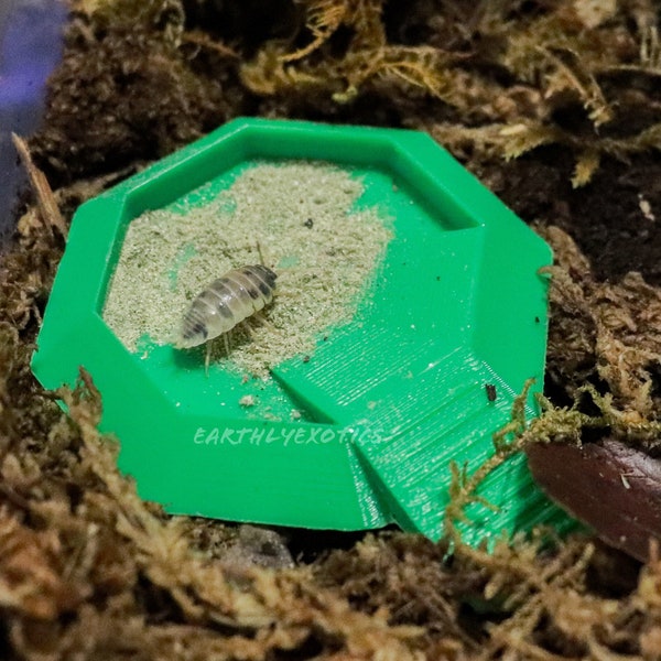 Isopod Feeding Dish, Tiny Food Bowl, Rolly Polly Feeding Station, Isopod Food Bowl, Bioactive Clean Up Crew Feeding Dish, Bug Food Bowl