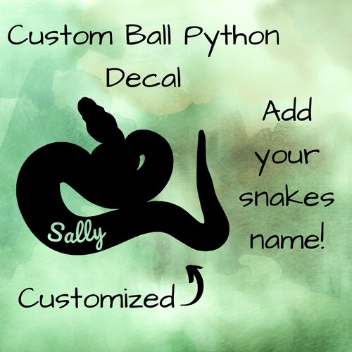 Personalized Ball Python Vinyl Decal, Pet Name Tag, Custom Snake Sticker, Reptile Enclosure Decal, Animal Name Car Decal, Herp Stickers