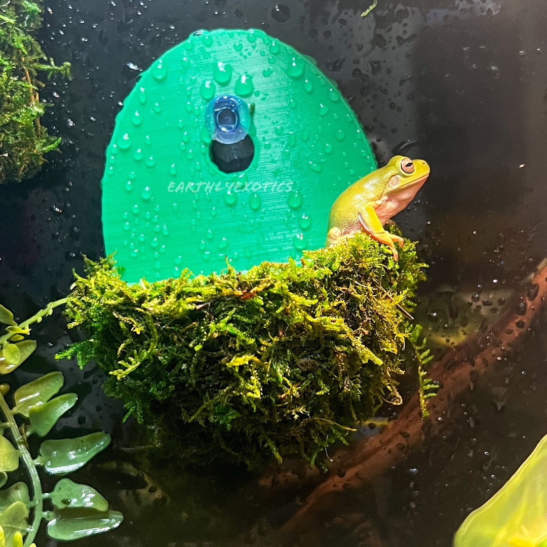Mossy Hanging Water Pool for Reptiles, Suction Cup Reptile Hide, Frog