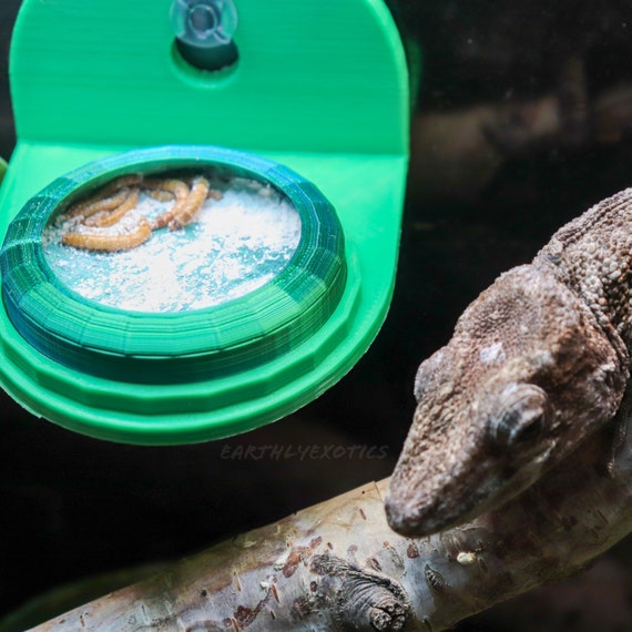 Elivated Mealworm Dish Holder Chameleon Worm Feeder Hanging Mealworm Feeding Dish Arboreal Reptile Food Bowl Gecko Lizard Reptile Dish Etsy