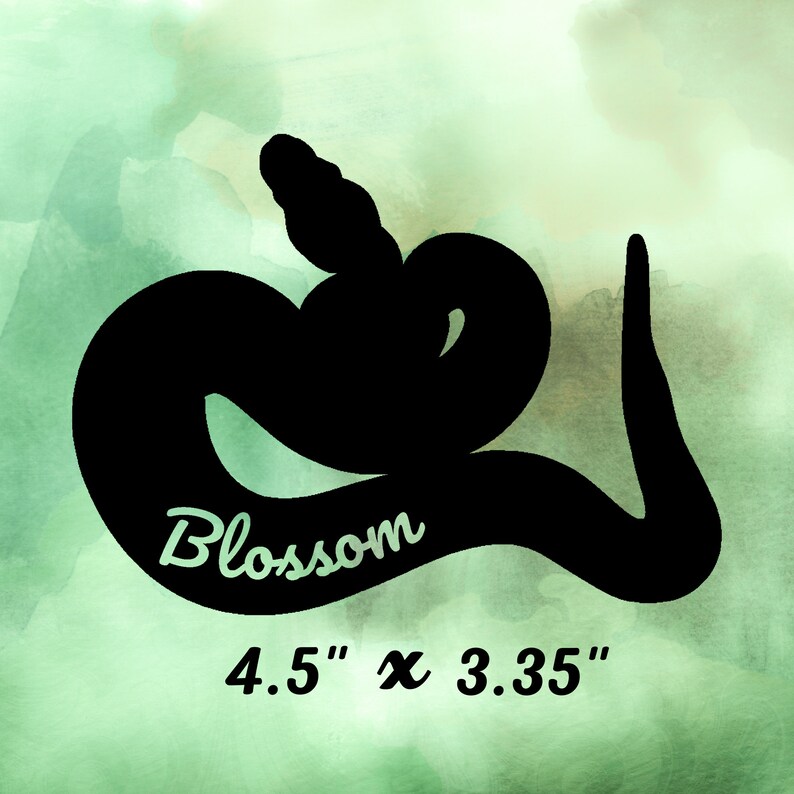 Personalized Ball Python Vinyl Decal Pet Name Tag Custom - Etsy
