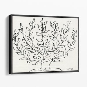 Pu&ograve; includere: Disegno in bianco e nero a tratto di un albero con un tronco spesso e molti rami. Il disegno &egrave; su sfondo bianco e firmato "H. Matisse Jan. '31" in basso a destra.