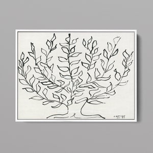 Pu&ograve; includere: Disegno in bianco e nero a tratto di un albero con rami e foglie. Il disegno &egrave; firmato "H. Matisse Jan. '51".