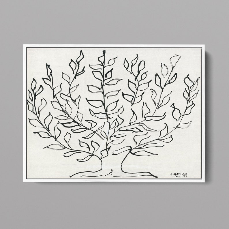 Pu&ograve; includere: Disegno in bianco e nero a tratto di un albero con rami e foglie. Il disegno &egrave; firmato "H. Matisse Jan. '51".