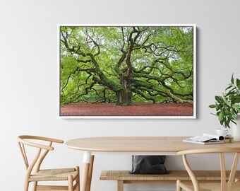 Ancient Oak Tree Canvas Wall Art – Nature Photography Print of Green Forest Scene, Peaceful Botanical Decor for Living Room or Office