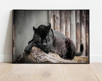 Black Panthera Wall Art Panther Canvas Panther Wall Art Panther Print Animals Wall Art Animals Canvas Print Animals Print Animals Wall Art