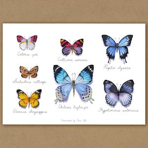 Art Prints | Watercolor Butterfly A4 Size