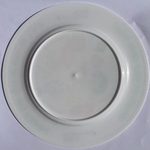 Back of the healthy kids plate