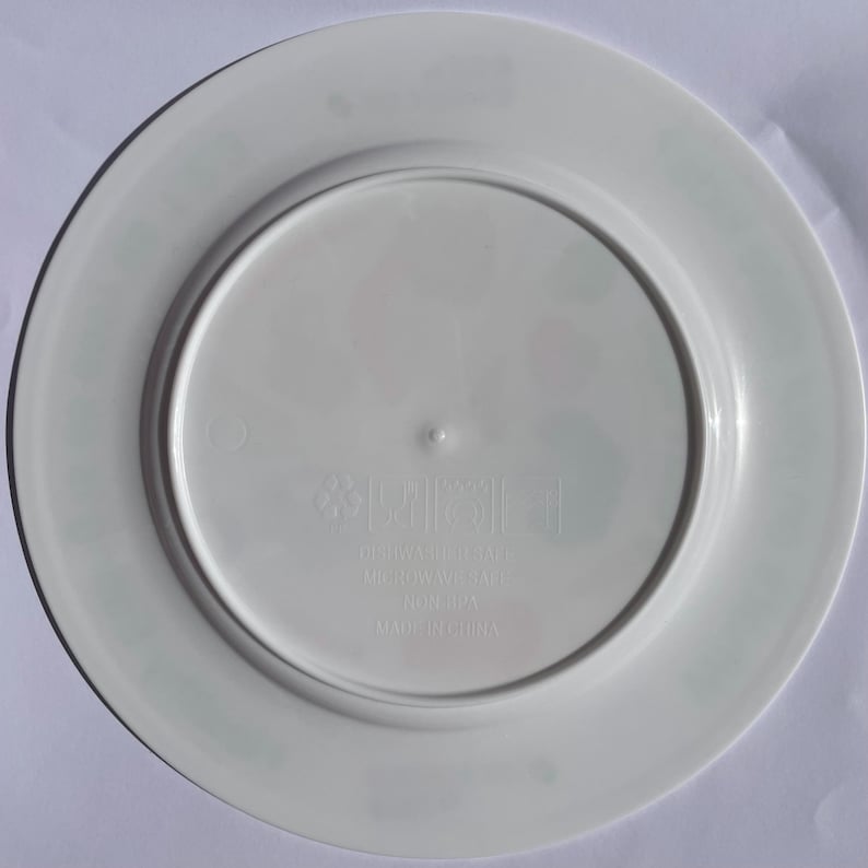 Back of the healthy kids plate