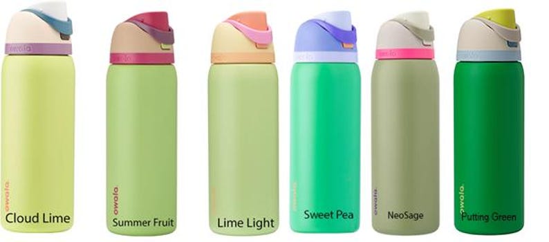 Botella Owala encurtida grabada de 32 oz y 24 oz Un gran eneldo imagen 2