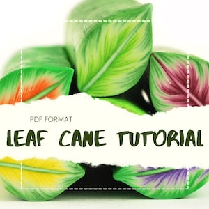 Può includere: Un tutorial in formato PDF su come realizzare canne in pasta polimerica a forma di foglia. L'immagine mostra diverse canne a forma di foglia di diversi colori, ognuna con un colore e uno schema diverso.