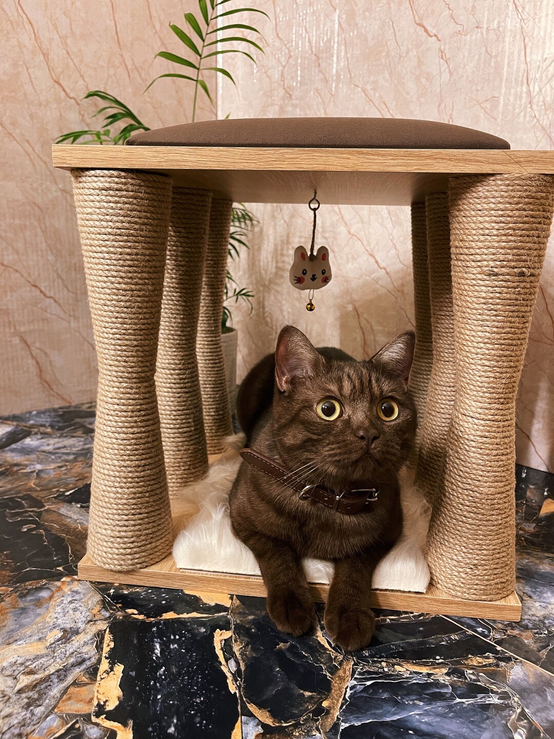 Cat Bed Modern Pet Furniture Handmade Cat House Warm Cat Etsy