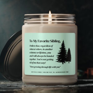 To My Favorite Sibling Soy Wax Candle, Sibling Gift Candle, Funny Gift For Brother or Sister, Siblings Gift, 9oz. Candle Gift