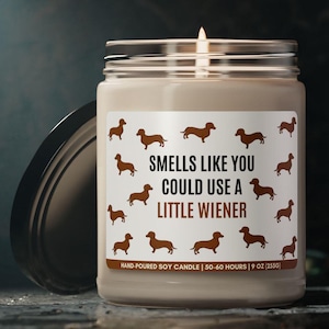 Kleine Wiener Kerze Geschenk Valentinstag Geschenk für Singles Bester Freund Lustige Kerze Geschenk für BFF Galentines Geschenk für Freund Nettes Geschenk für Bestie