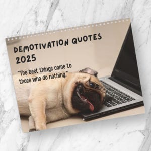 2025 Demotivation Wall Calendar, Funny 2025 Wall Calendar, Lazy animal quotes, sarcastic calendar art, hopelessness, procrastinator gag gift