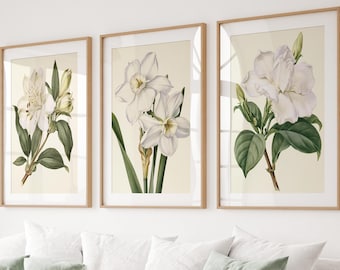 Puede incluir: Un conjunto de tres láminas decorativas verticales en marcos de madera clara, cada una con una ilustración botánica de flores blancas con hojas verdes sobre fondo crema, dispuestas en fila con alstroemeria, narcisos y una gardenia.