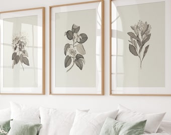 Set of 3 Botanical Art Prints: Rustic Floral Wall Decor