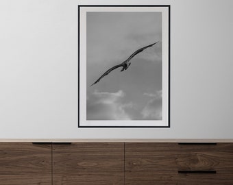 Black and white sky and seagull wall art.-The Eyes of the Seagull is on you, but it does not scare you, on the contrary, it encourages you.