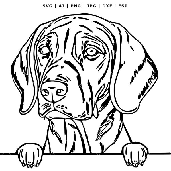 Weimaraner SVG - Peeking Dog, Vector, DXF, PNG, Clipart - Vector Graphic Art - Design for Cricut and Silhouette Machines Instatnt Download