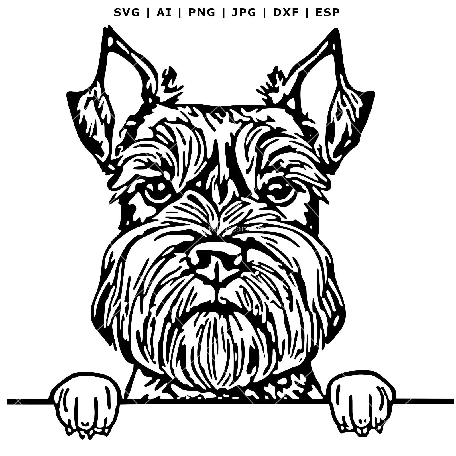 Schnauzer Dog Clipart Terrier