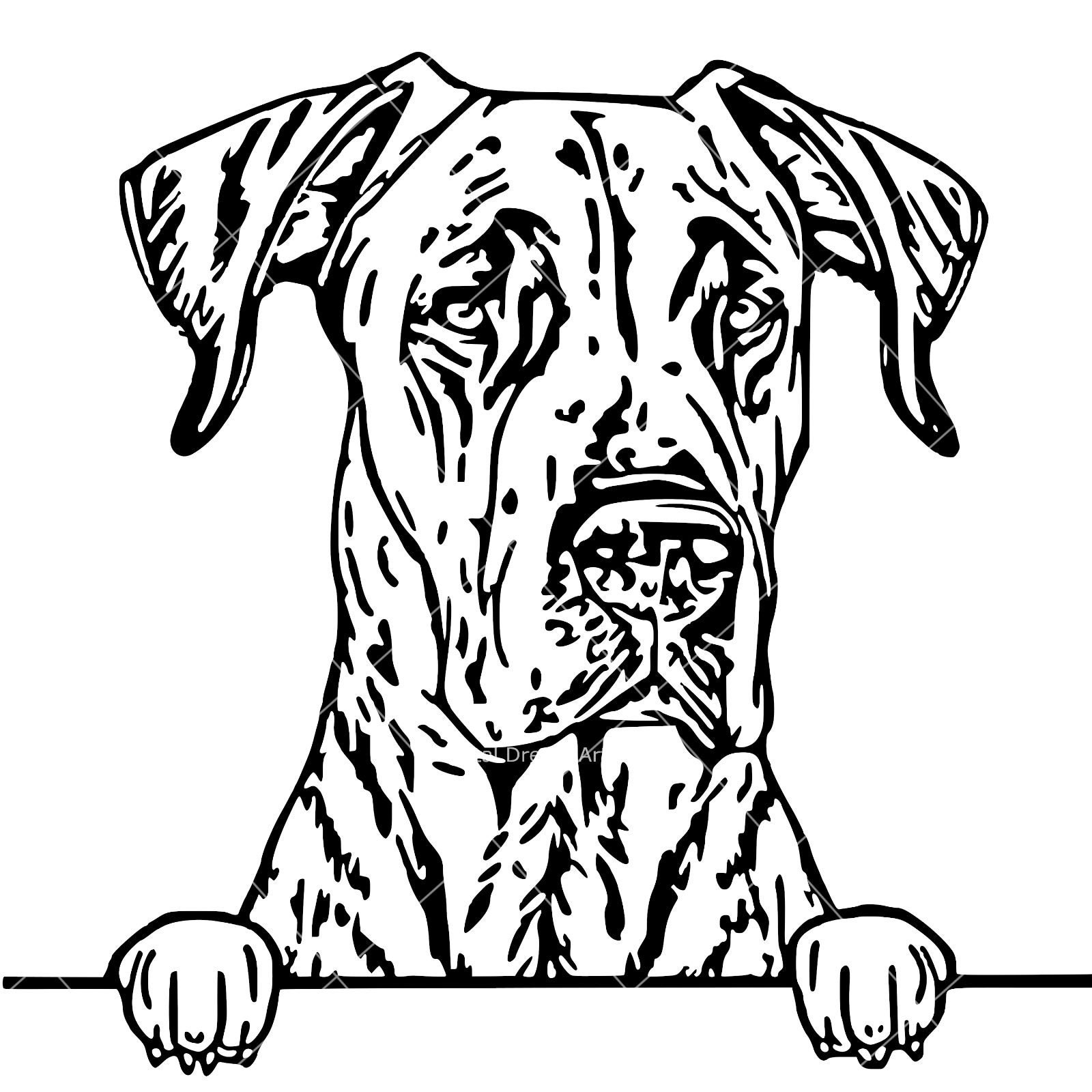 Great Dane SVG - Peeking Dog, Vector, DXF, PNG, Clipart - Vector ...