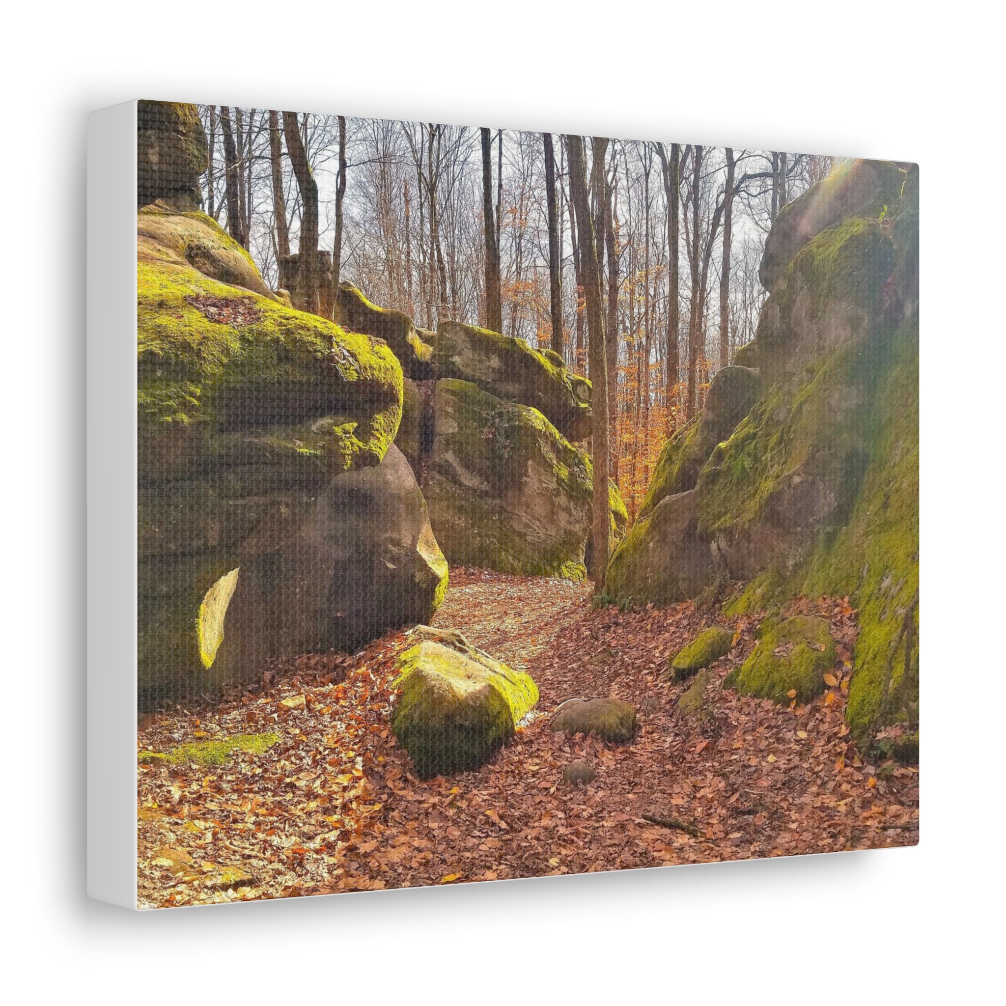 Thandur Rocks Allegany State Park Thunder Rocks Canvas - Etsy