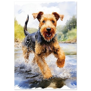 Welsh Terrier Watercolour, Playing in the river. Painting, Print, Poster, Picture, Wall Art, Décor