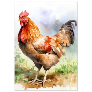 Chicken Watercolour Print
