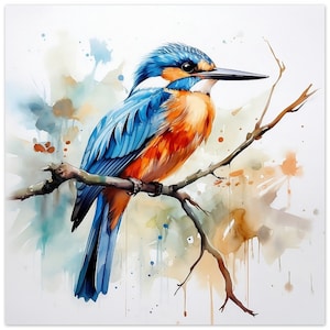 Kingfisher Watercolour Print
