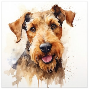 Welsh Terrier Watercolour Print