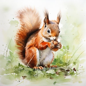 Red Squirrel Watercolour Printable, Digital download, Clip art, Wall art, Painting, Print, Poster, Picture, Décor