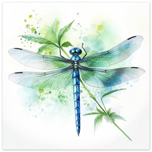 Dragonfly Watercolour, Blue and Green, Painting, Print, Poster, Picture, Wall Art, Décor